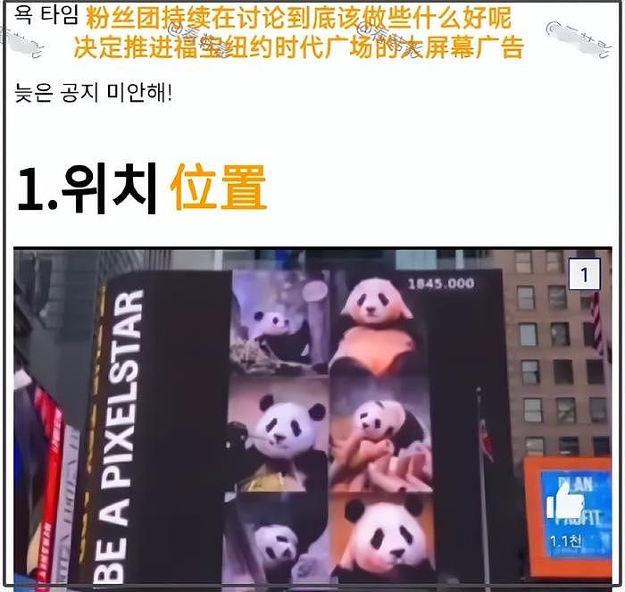 打脸闹事韩星！熊猫福宝断毛风波升级，在韩国饲养期间问题更大 - 6