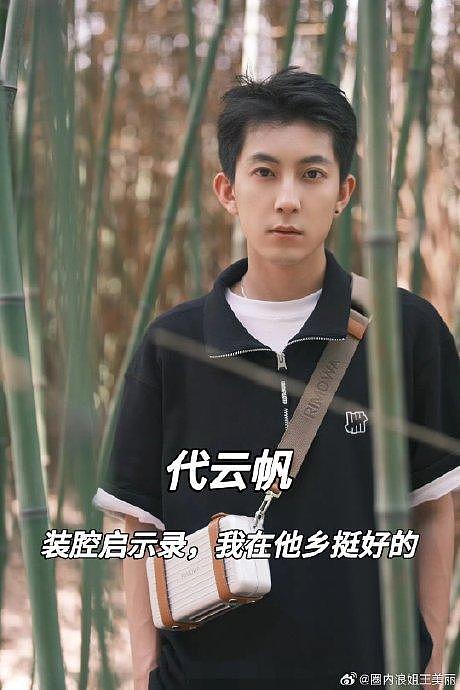 盘点那些在女性群像剧里镶边的宝藏男艺人，大家有看过他们的剧嘛 - 2