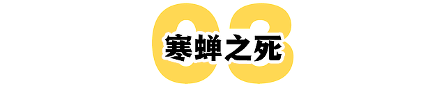 宋智雅的30天：一个网红的疾速坠落 - 20