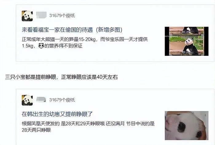 熊猫福宝韩国饲养员装哭惹群嘲，两个摄像师跟拍特写，比韩剧还假 - 16