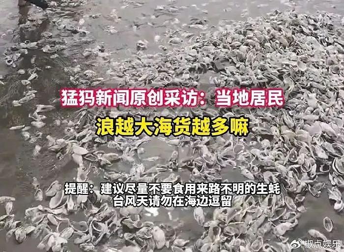 台风“格美”过境，福州市民冲向海滩哄抢生蚝，满地生蚝个头又大 - 4