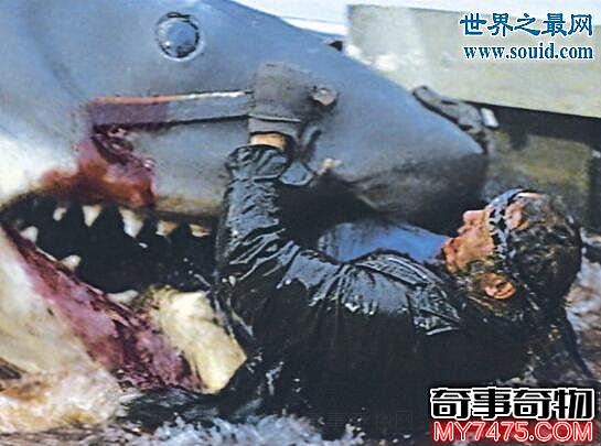 恐怖鲨鱼吃人图片 男子被袭击咬碎 九死一生