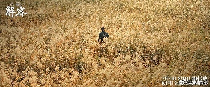 《解密》点映，陈思诚被质疑还能拍出爆款吗，答案一定是肯定的 - 4