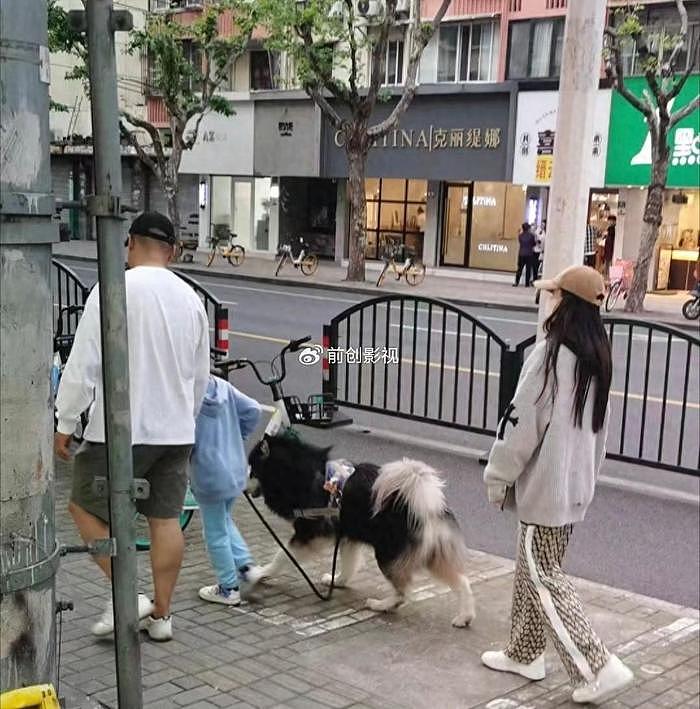 Angelababy上海街头遛狗，一身行头超10万元，家住20万一平豪宅 - 1
