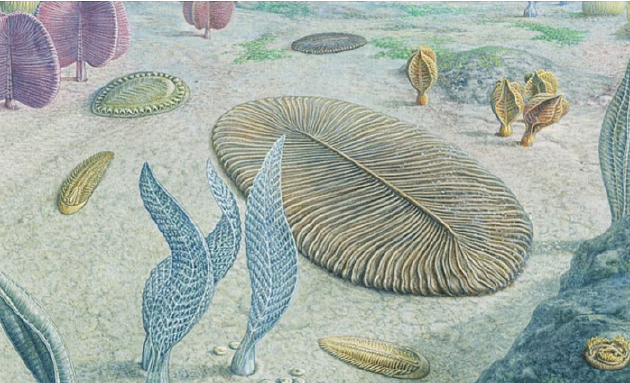 地球孕育复杂生命的新配方：26亿年前海底“微生物肥料工厂” - 1