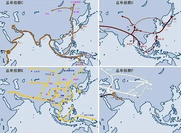 为什么绝世美人都是南人北相？ - 21