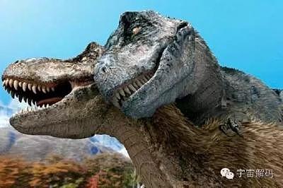 恐龙的十大未解之谜：恐龙如何交配