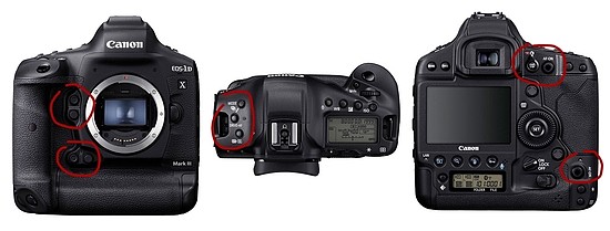 佳能EOS R3专微相机拍鸟试用 - 2