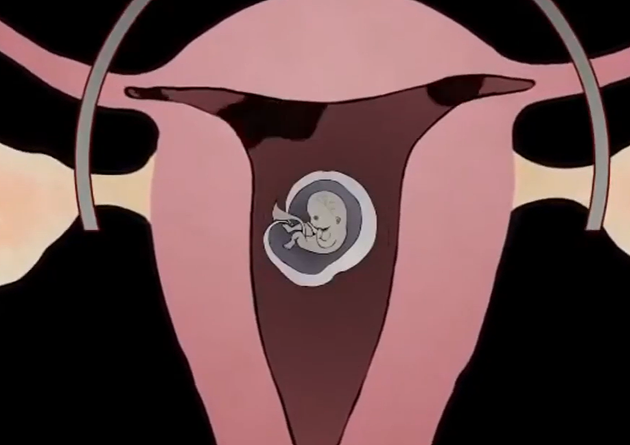 终止妊娠对“小房子”的危害有多大？丹麦动画演示全程，不寒而栗 - 2