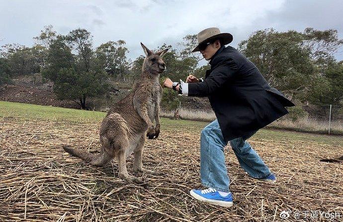 是真能整活啊！他居然站在袋鼠面前打拳，这是在教澳洲袋鼠中国功夫嘛哈哈！ - 1