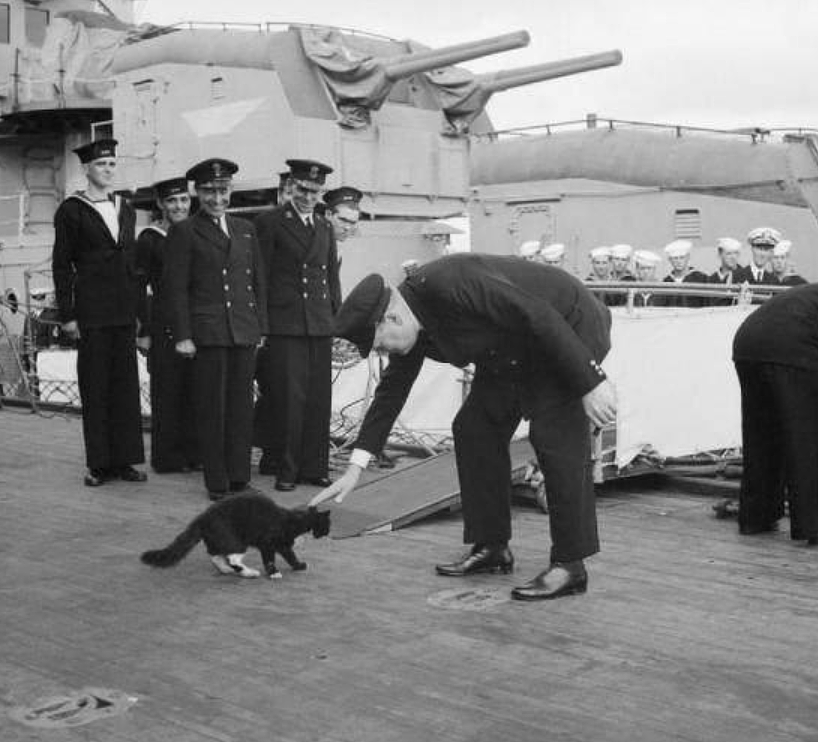 第二次世界大战时期，为何航母上都要必须配置一只猫？看完明白了 - 1