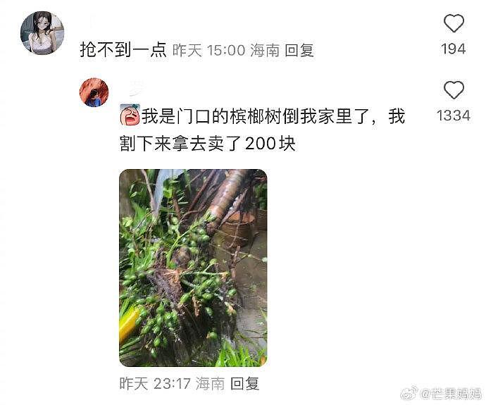 海南人民好松弛的精神状态，事已至此，台风过后家已经一片狼藉了… - 2