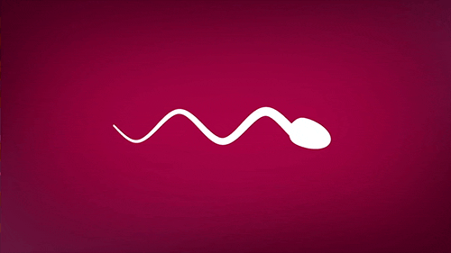 　精子抗体能拖住精子，不让它们游过生殖道丨Giphy