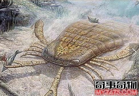 泥盆纪十大恐怖生物（泥盆纪最吓人的生物）