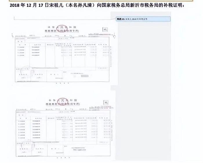 宋祖儿漏税录音曝光，多次漏税达1500万？ - 5