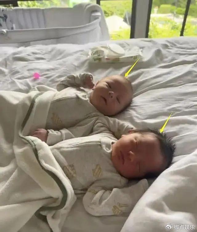 女富豪叶海洋诞双胞胎男孩，花50万买精子独自怀孕，俩儿子长得不一样 - 5