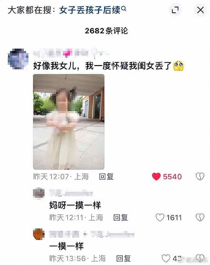 后续来了! 4岁试管女儿撞脸网上女孩，亲妈崩溃，对方女孩家已报警 - 4