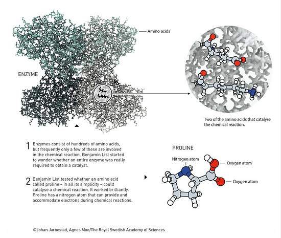 解读2021诺贝尔化学奖：他们发现了制造新分子的巧妙工具 - 2