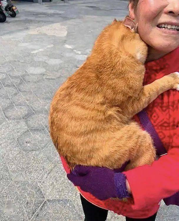 奶奶抱着一只橘猫，姿势宠溺像抱孙子，女子忍不住上前拍照 - 4