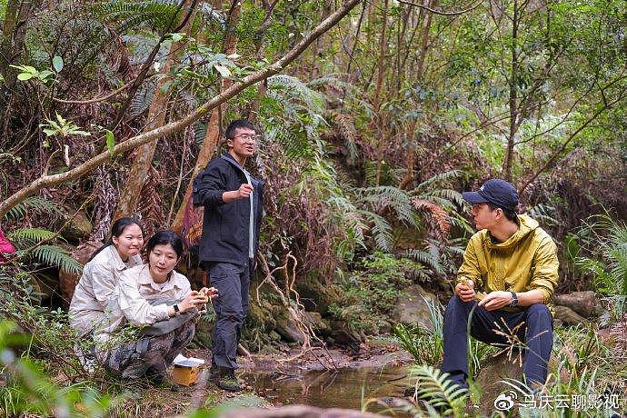 《寻护者》小众题材，播出大众效果，王一博的流量，恰好是正能量 - 3