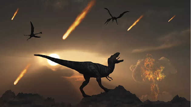 为什么蟑螂能在导致恐龙灭绝的小行星碰撞事件中幸存下来？ - 1