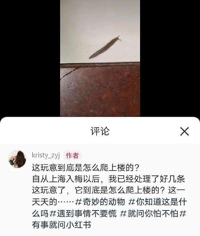 上海大雨，陈赫和陈龙屋里下小雨，网友围观点评，留言让人笑喷饭 - 28