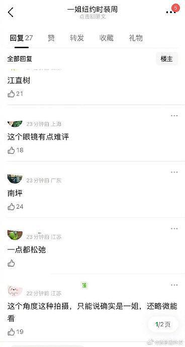 刘诗诗纽约时装周造型被审判 墨镜的锅吗 - 6