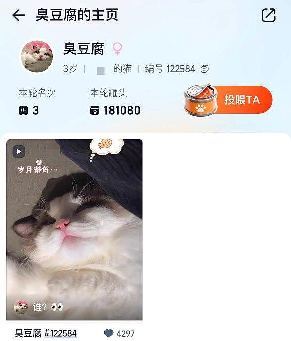 猫王大赛硝烟四起，@刘宇Yu_ 家的“臭豆腐”也不甘示弱！ - 4