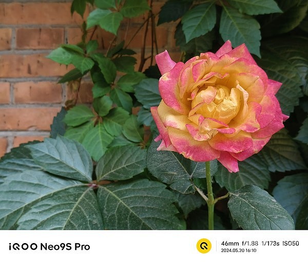iQOO Neo9S Pro评测：天玑9300+旗舰芯 超值双芯战神 - 19