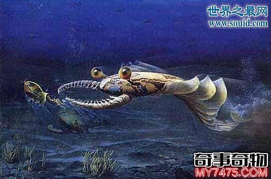 寒武纪最庞大的动物 2米长的奇虾 虾子也可以做霸主