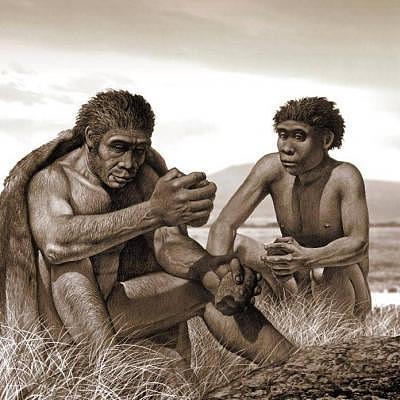 人类真的是由十二生肖进化而来？多种起源论，你又支持哪一种？