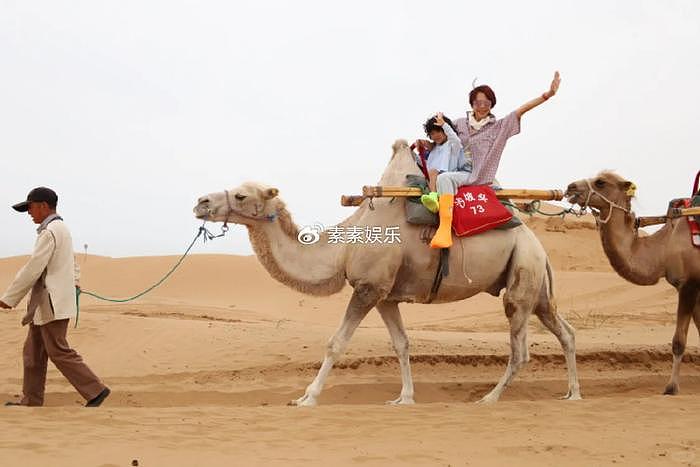 蔡少芬一家人宁夏旅游，儿子爆炸头特可爱，母子坐在骆驼上拍照 - 8