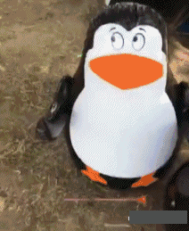 搞笑GIF趣图：买了门票去极地世界看企鹅，结果，我怒了！ - 7