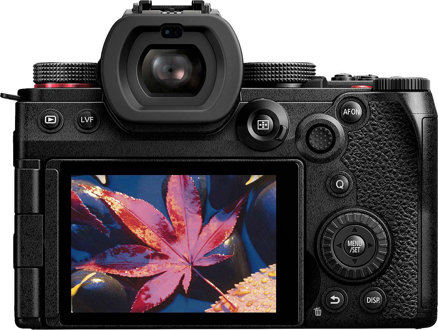 松下Lumix S5 Mark II相机外观曝光：搭载2420万像素CMOS，支持6K视频拍摄 - 2
