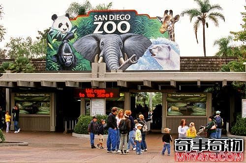 美国最受欢迎的动物园排行榜 第一因有大熊猫游客年过亿