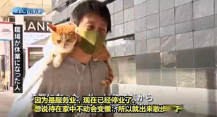 街头有人肩膀上有只猫，问他不会掉下来吗，他回：猫不肯下来！ - 1