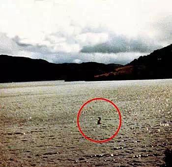 青海湖水怪的真面目仍然是人们心中的一个巨大谜团
