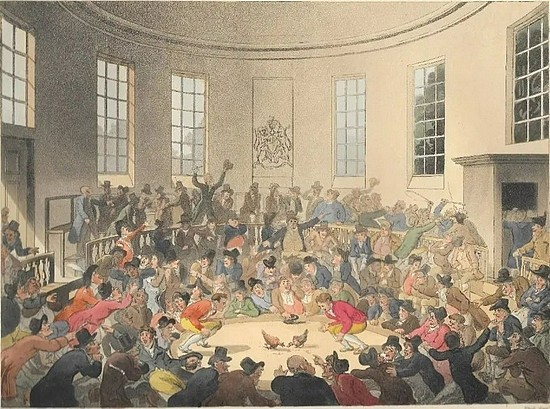 在英国皇宫举行的斗鸡比赛|Ackermann画于1808年