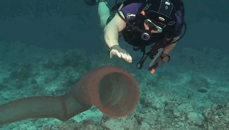 十几米长的巨型怪虫吓坏潜水员，一张大嘴堪称海洋版“沙虫” - 6