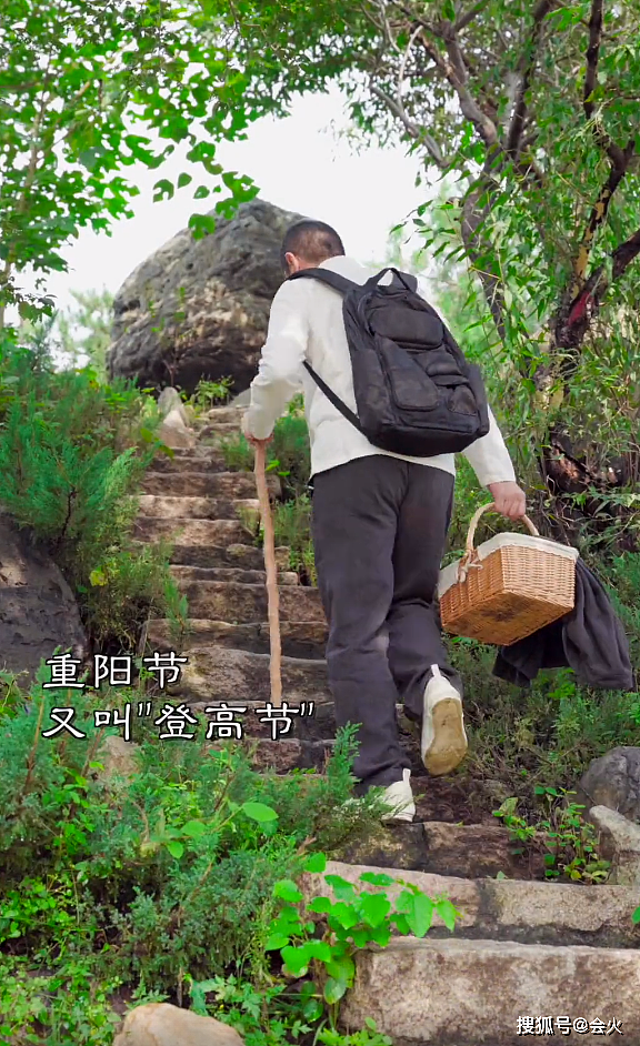 50岁李亚鹏重阳节登山，用树枝逗螳螂，坐石凳上饮菊花酒吃重阳糕 - 1