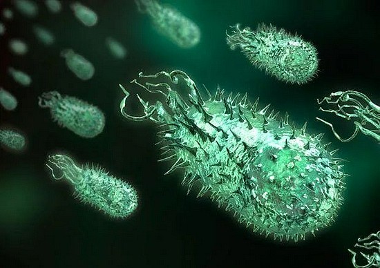 注射350万年前的细菌，只为长生不死 - 7