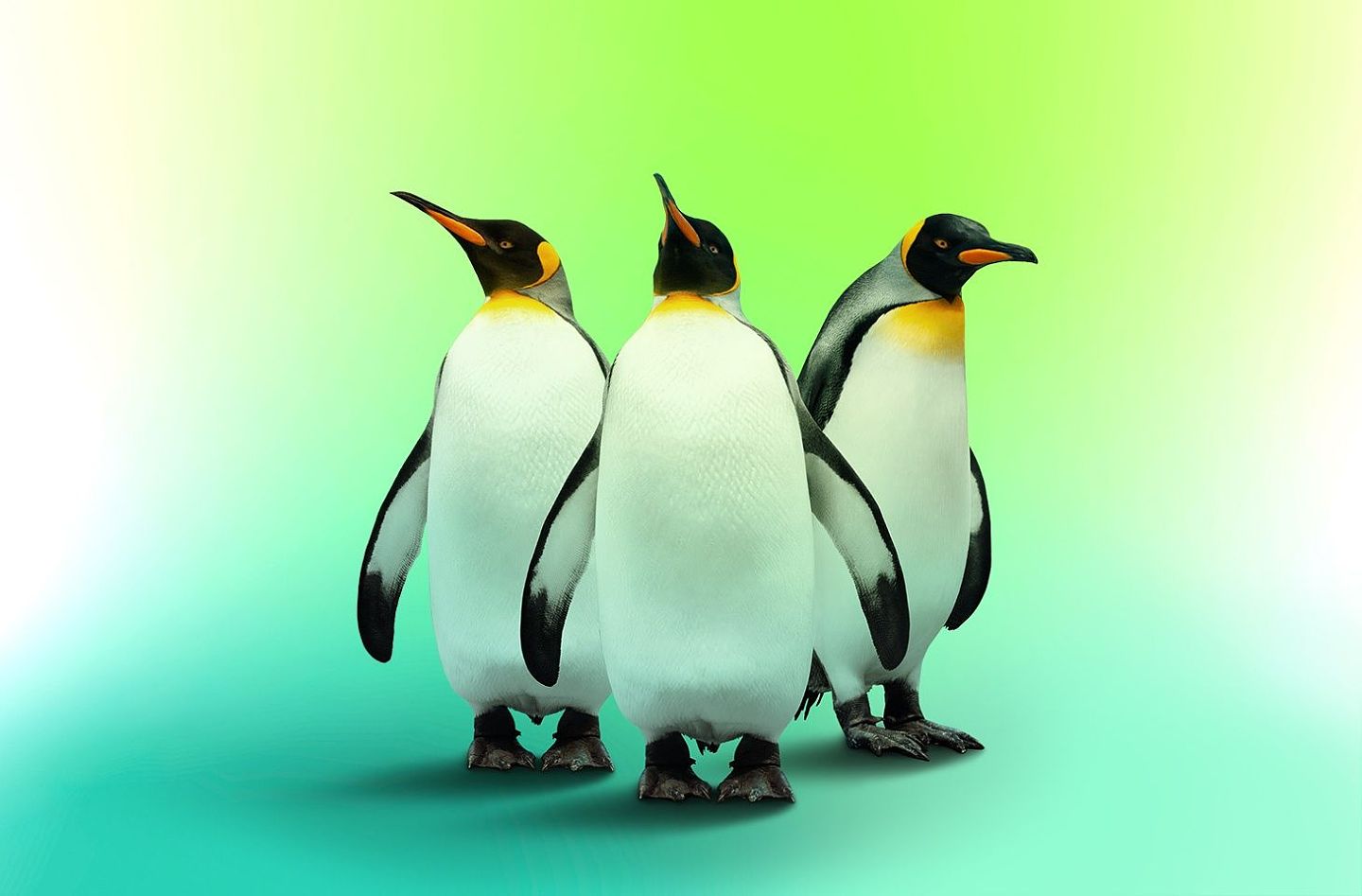 Linux 发行版需要杀软吗？卡巴斯基推出免费 Linux 版 KVRT 病毒扫描清理工具 - 1
