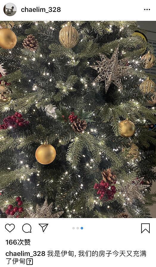 离婚一年，蔡琳陪儿子布置圣诞树，高梓淇已三年未和小礼物同框 - 3