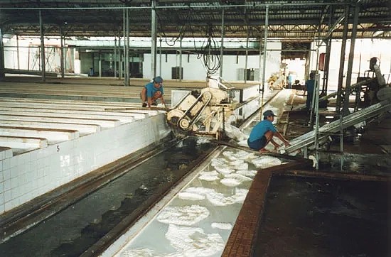 　乳胶加工厂 | 图源：Wikipedia