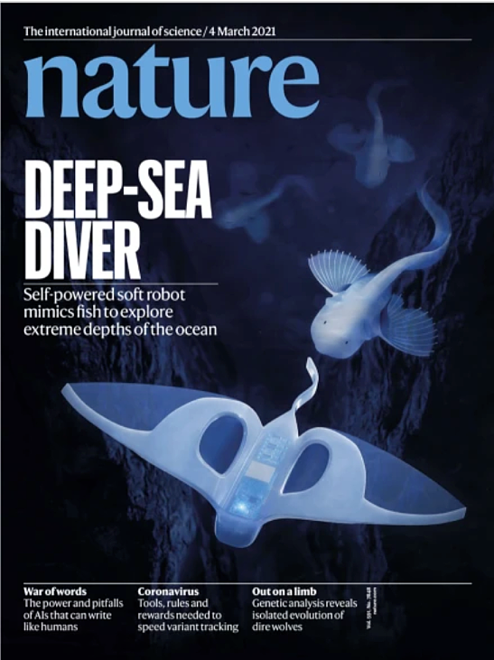 神秘“深海鱼”，首次闯入马里亚纳海沟10900米深处 - 4