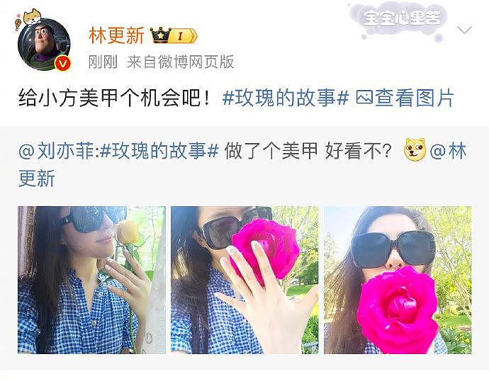 刘亦菲问林更新她的美甲好看不哈哈哈哈哈… - 5