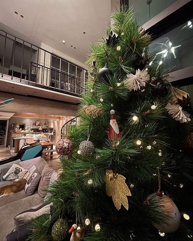 S.H.E成员Ella过亿豪宅曝光，家中装2米高圣诞树，餐桌可坐十余人 - 5