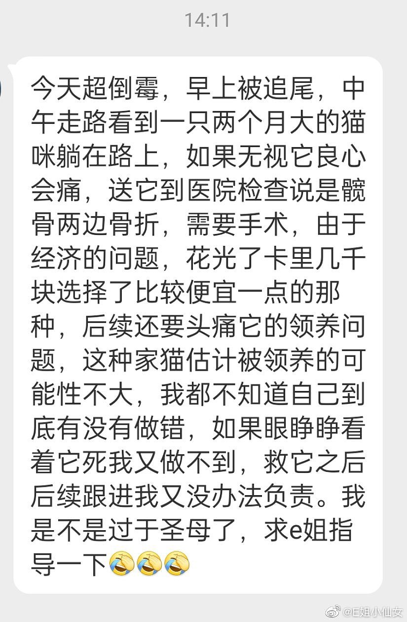 提问万事屋： 一位读者出于好心救助了一只流浪猫…… - 1