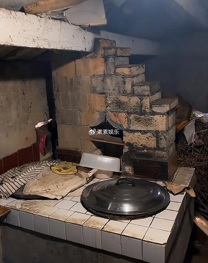 姜萍家的厨房门被踹了，屋内家具被拍，连鸡鸭也被网友追着录像 - 17