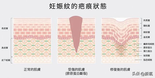 结婚7年还要被骂借肚上位？她才是娱圈最惨嫂子吧 - 20